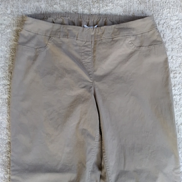Coldwater Creek Slimming Panel Stretchy Pants 14P Brown Tan - Picture 4 of 11